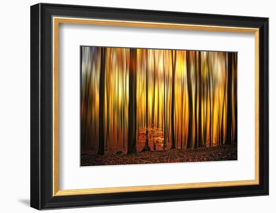 Firewall-Philippe Sainte-Laudy-Framed Photographic Print