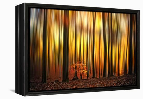 Firewall-Philippe Sainte-Laudy-Framed Premier Image Canvas