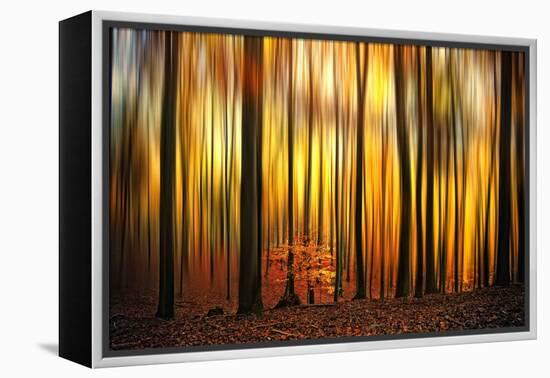 Firewall-Philippe Sainte-Laudy-Framed Premier Image Canvas