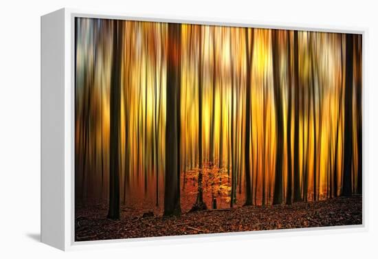 Firewall-Philippe Sainte-Laudy-Framed Premier Image Canvas