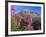 Fireweed and Mt. Gothic near Crested Butte, Colorado, USA-Julie Eggers-Framed Photographic Print