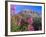 Fireweed and Mt. Gothic near Crested Butte, Colorado, USA-Julie Eggers-Framed Photographic Print