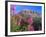 Fireweed and Mt. Gothic near Crested Butte, Colorado, USA-Julie Eggers-Framed Photographic Print