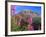 Fireweed and Mt. Gothic near Crested Butte, Colorado, USA-Julie Eggers-Framed Photographic Print