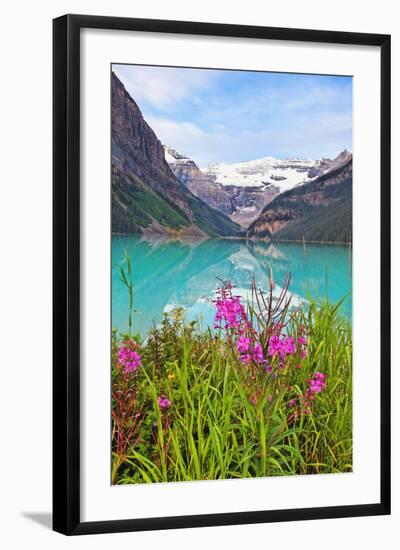 Fireweed at Lakeside, Lake Louise, Canada-George Oze-Framed Photographic Print