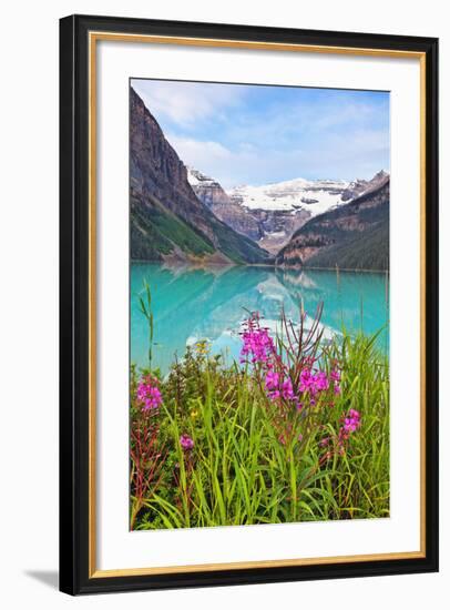 Fireweed at Lakeside, Lake Louise, Canada-George Oze-Framed Photographic Print