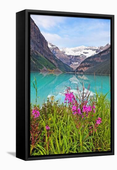 Fireweed at Lakeside, Lake Louise, Canada-George Oze-Framed Premier Image Canvas