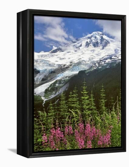 Fireweed Flowers below Mt. Baker-Steve Terrill-Framed Premier Image Canvas