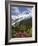 Fireweed Flowers below Mt. Baker-Steve Terrill-Framed Photographic Print