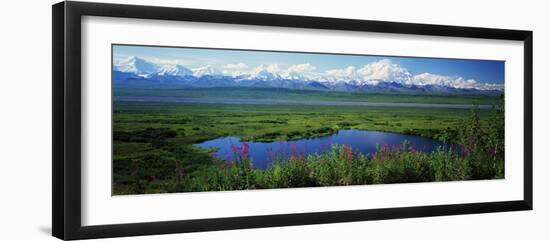 Fireweed Flowers in Bloom by Lake, Denali National Park, Alaska, USA-null-Framed Photographic Print