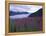 Fireweed in Aialik Glacier, Kenai Fjords National Park, Alaska, USA-Paul Souders-Framed Premier Image Canvas