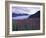 Fireweed in Aialik Glacier, Kenai Fjords National Park, Alaska, USA-Paul Souders-Framed Photographic Print