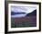 Fireweed in Aialik Glacier, Kenai Fjords National Park, Alaska, USA-Paul Souders-Framed Photographic Print