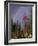 Fireweed Under Rainbow, Talkeetna, Alaska, USA-Paul Souders-Framed Photographic Print