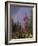 Fireweed Under Rainbow, Talkeetna, Alaska, USA-Paul Souders-Framed Photographic Print