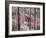 Fireweed-Ursula Abresch-Framed Photographic Print