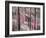 Fireweed-Ursula Abresch-Framed Photographic Print