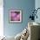 Fireweed-Ursula Abresch-Framed Photographic Print displayed on a wall