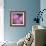 Fireweed-Ursula Abresch-Framed Photographic Print displayed on a wall
