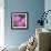 Fireweed-Ursula Abresch-Framed Photographic Print displayed on a wall