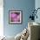 Fireweed-Ursula Abresch-Framed Photographic Print displayed on a wall