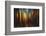 Firewood-Ursula Abresch-Framed Photographic Print