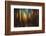 Firewood-Ursula Abresch-Framed Photographic Print