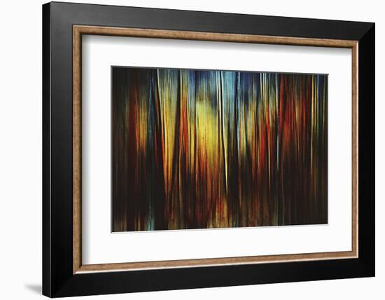 Firewood-Ursula Abresch-Framed Photographic Print