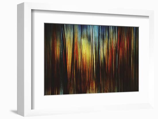 Firewood-Ursula Abresch-Framed Photographic Print