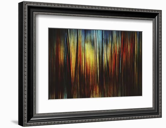 Firewood-Ursula Abresch-Framed Photographic Print