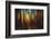 Firewood-Ursula Abresch-Framed Photographic Print