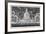 Firework Display in Green Park, Westminster, London, 1814-null-Framed Giclee Print