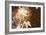 Firework Display-Magrath Photography-Framed Photographic Print