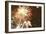 Firework Display-Magrath Photography-Framed Photographic Print