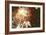 Firework Display-Magrath Photography-Framed Photographic Print