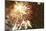 Firework Display-Magrath Photography-Mounted Photographic Print