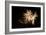 Fireworks at Havasu II-George Johnson-Framed Photographic Print