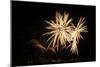 Fireworks at Havasu II-George Johnson-Mounted Photographic Print