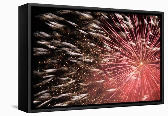 Fireworks Bloom Like a Flower in the Night Sky in Kobe-Ryuji Adachi-Framed Premier Image Canvas