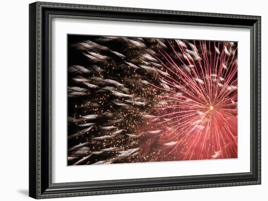 Fireworks Bloom Like a Flower in the Night Sky in Kobe-Ryuji Adachi-Framed Photographic Print