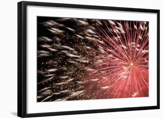 Fireworks Bloom Like a Flower in the Night Sky in Kobe-Ryuji Adachi-Framed Photographic Print