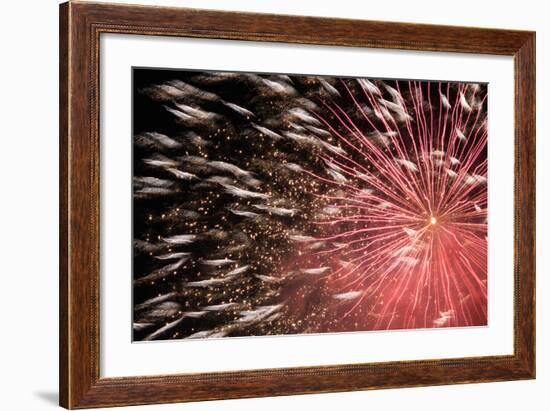 Fireworks Bloom Like a Flower in the Night Sky in Kobe-Ryuji Adachi-Framed Photographic Print