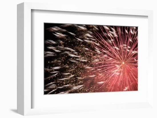 Fireworks Bloom Like a Flower in the Night Sky in Kobe-Ryuji Adachi-Framed Photographic Print