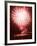 Fireworks Competition, Manila, Phillipines-Aaron Favila-Framed Photographic Print