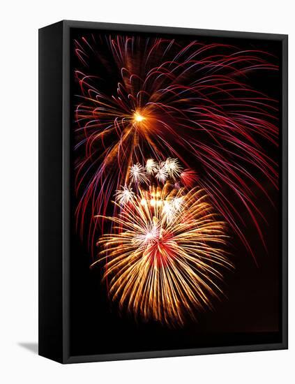 Fireworks Display-Brad Lewis-Framed Premier Image Canvas