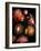 Fireworks Display-Tony Craddock-Framed Photographic Print