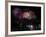 Fireworks Explode after the Cauldron Was Lit at the Vancouver 2010 Olympics-null-Framed Photographic Print