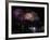 Fireworks Explode after the Cauldron Was Lit at the Vancouver 2010 Olympics-null-Framed Photographic Print