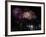 Fireworks Explode after the Cauldron Was Lit at the Vancouver 2010 Olympics-null-Framed Photographic Print