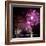 Fireworks Explode over the Olympic Rings During the Opening Ceremony of the Vancouver 2010 Olympics-null-Framed Photographic Print